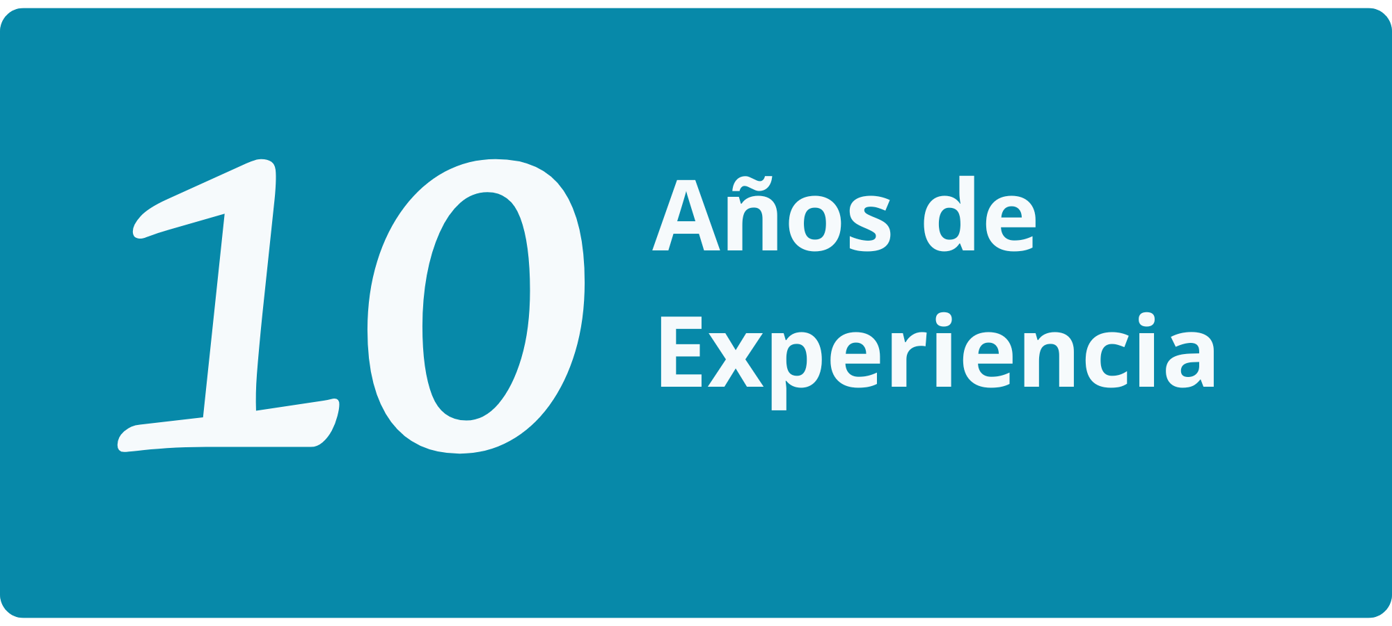 10 años de experiencia